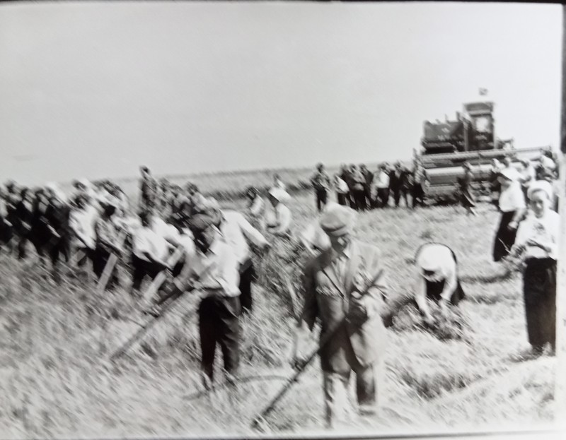 Фото. Свято першого снопа в колгоспі "Слава" село Кармалюківка. 1974 рік.