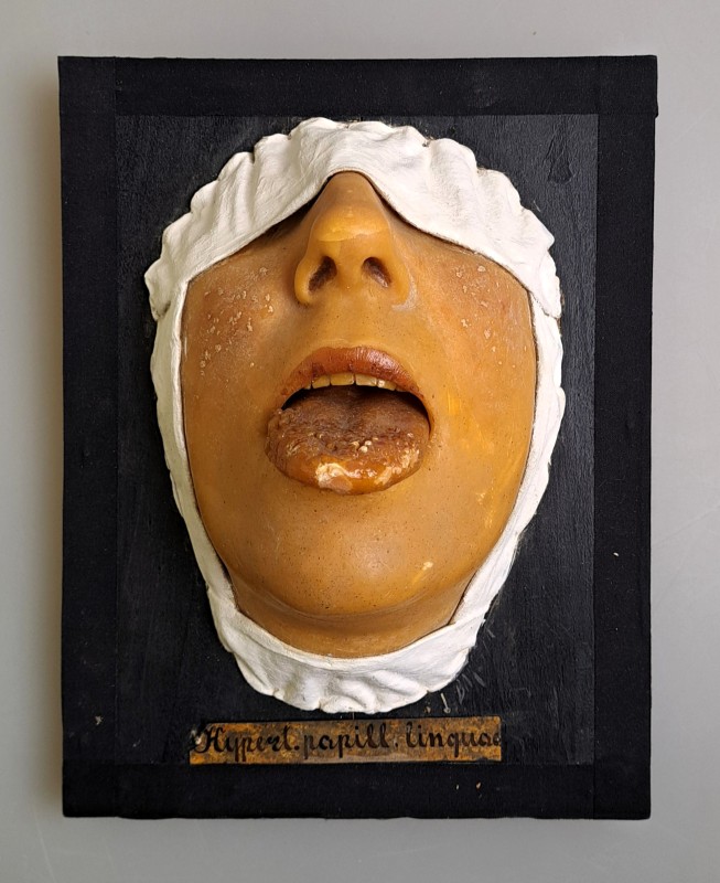 Муляж