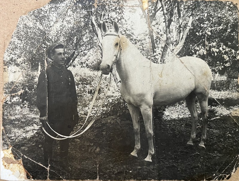 Фото. Кінь комкора М. Криворучка, 1935 рік