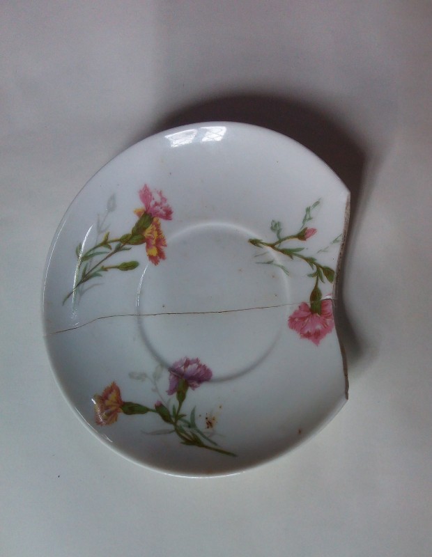 Блюдце (фрагменти), 1888-1920 рр.