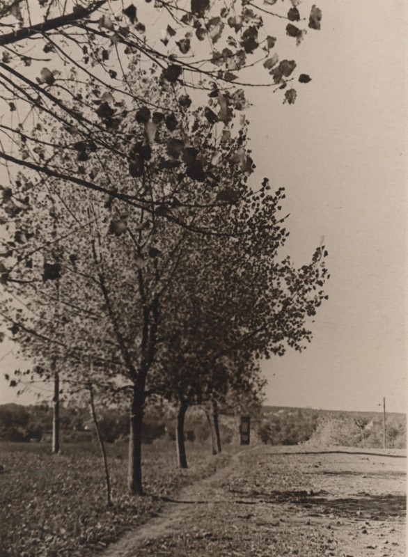 Фотографія. Осінній пейзаж. Ймовірно автор – В. Івасюк. 1964-1965 роки.
