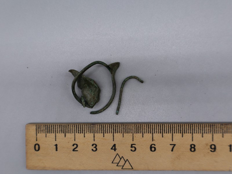 Сережка.