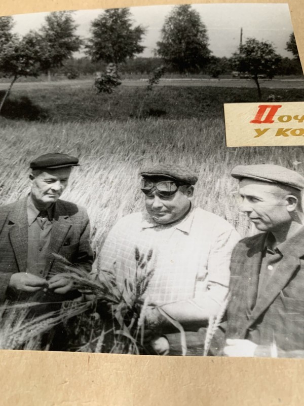 Фото "Початок жнив-75 у колгоспі "Родина"