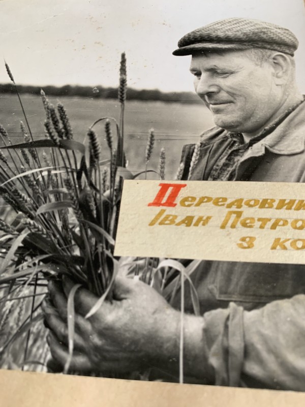 Фото "Передовий комбайнер району Іван Олійник"