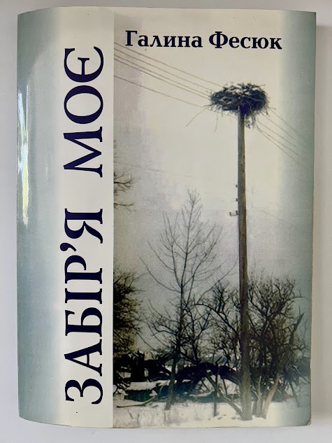 Книга «Забір’я мов»