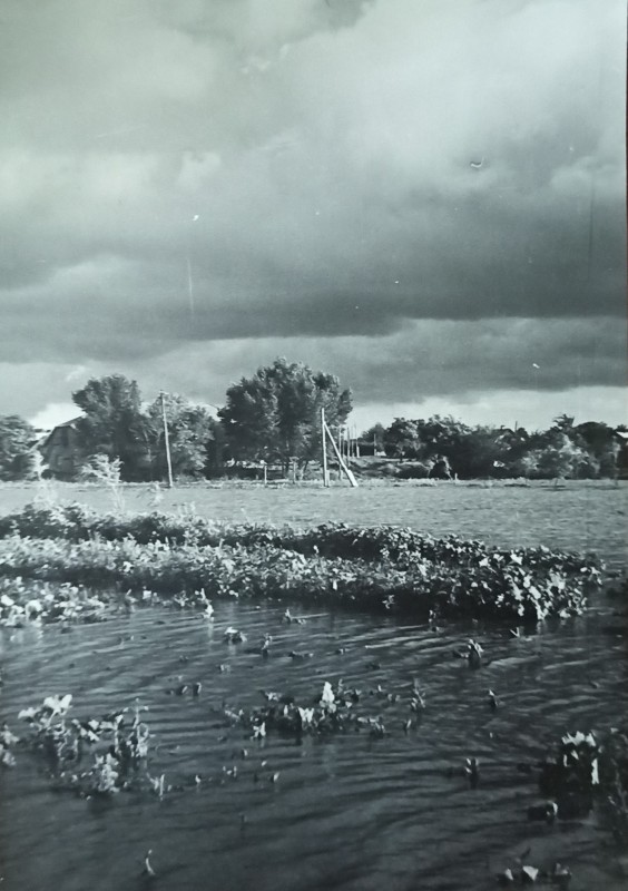 Фото Устинівки після літньої зливи (1969 рік).