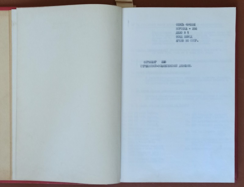 Формуляр 228 стрілецької Вознесенської дивізії (передрук).