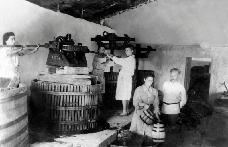 Колекція фото світлин винрадгоспу «Шабо»  (1940-1950 роки)  «Праця виноробів у виробничому підвалі»