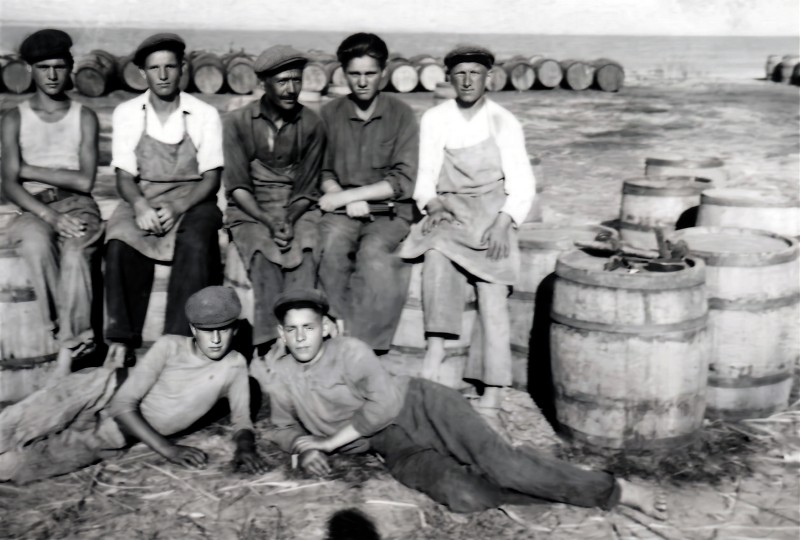 Колекція фото світлин винрадгоспу «Шабо»  (1940-1950 роки) «Бондарі»