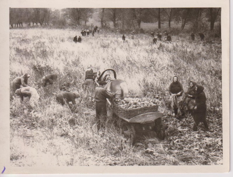 фотографія