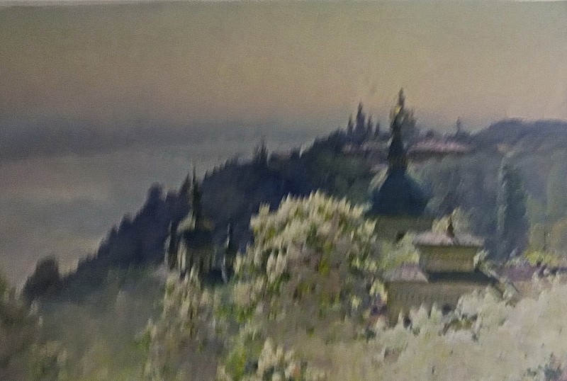 Зацвіли каштани