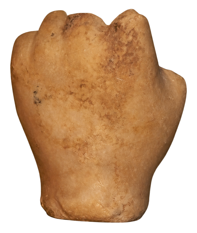 Кисть руки мармурова