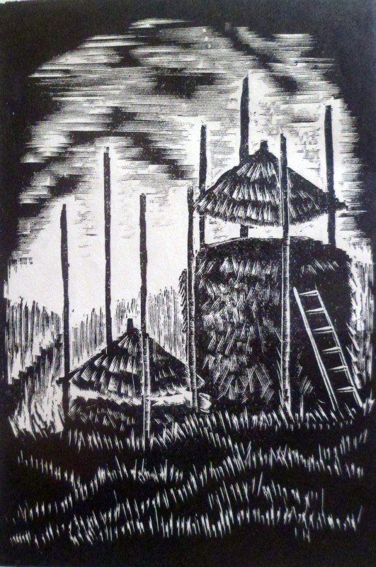 Обороги (Загін)