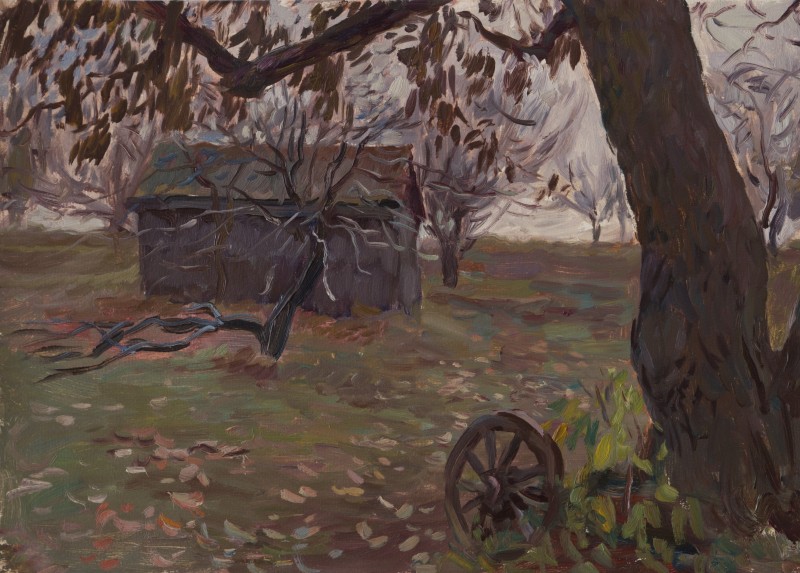 Стара груша
