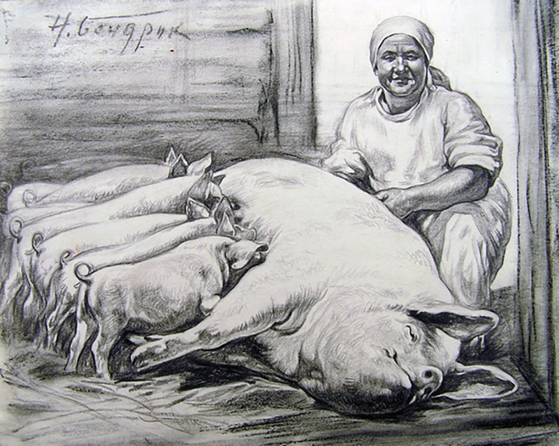 Свинарка