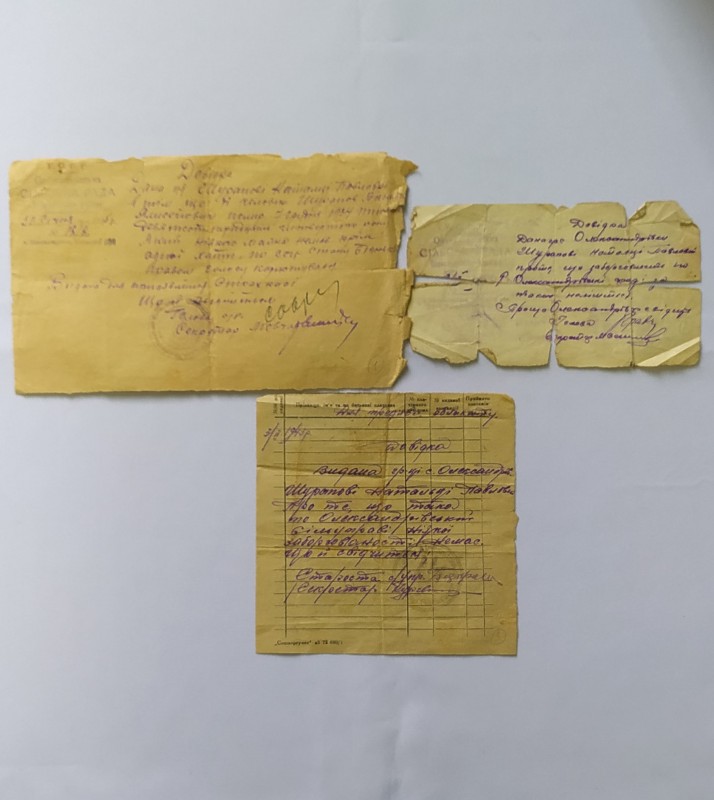 Довідки Шурапової Наталії Павлівни